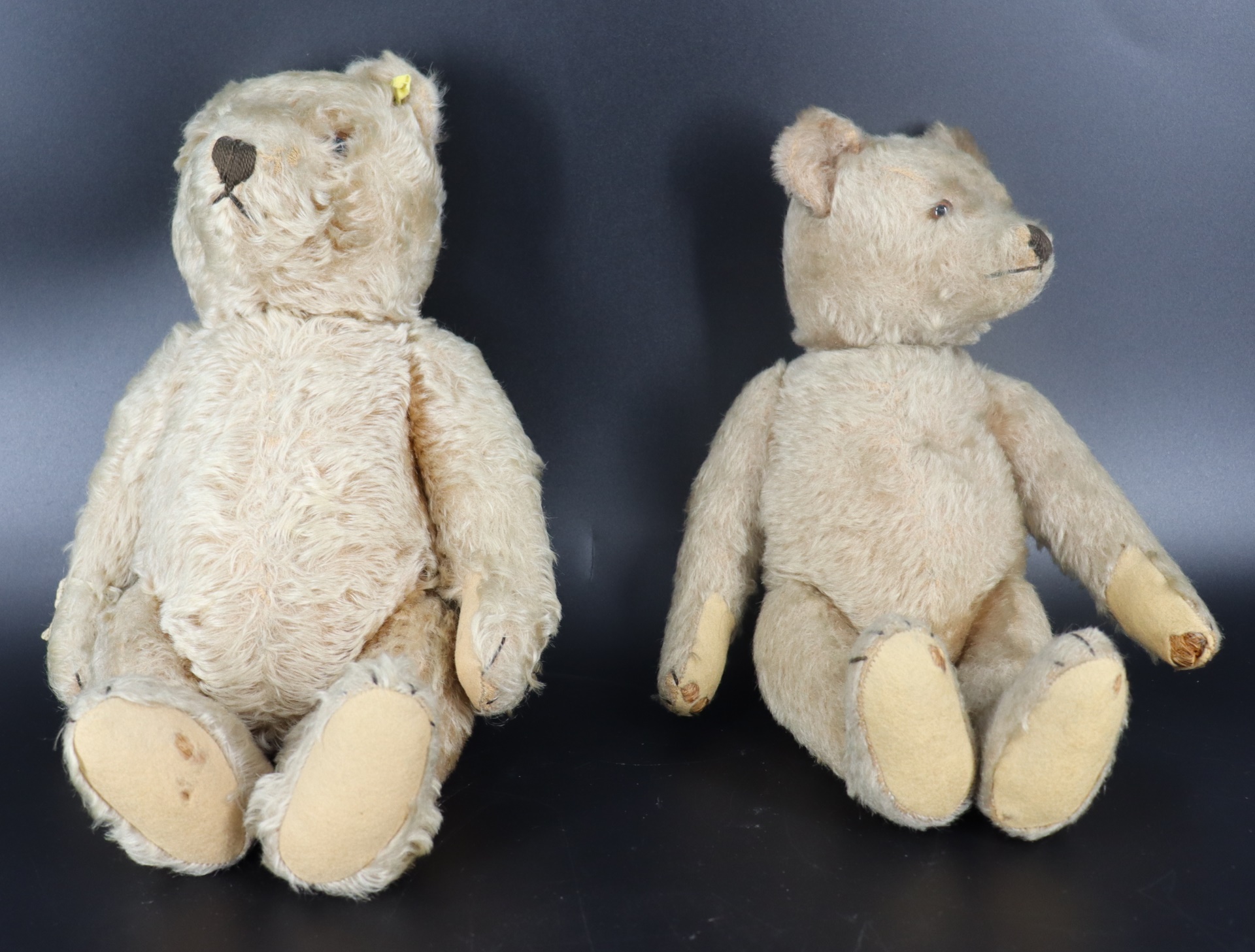 Appraisal: Steiff Bear Attrib To Steiff Bear with tag in ear