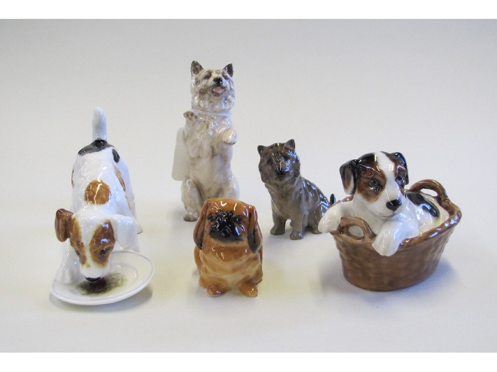 Appraisal: Five Royal Doulton dogs including terrier licking a plate HN