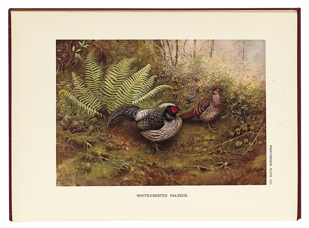 Appraisal: BEEBE CHARLES WILLIAM A Monograph of The Pheasants color and