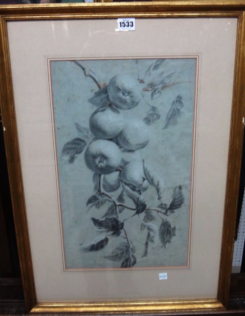 Appraisal: English School early th century Still life of apples charcoal