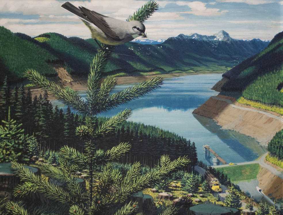 Appraisal: JACK DUMAS GOUACHE ON BOARD Flycatcher Over Tolt River Dam