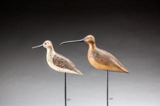 Appraisal: Curlew by Harry V Shourds CurlewHarry V Shourds - Tuckerton