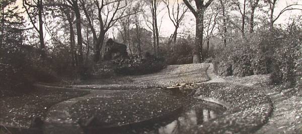 Appraisal: Josef Sudek Prague Gelatin silver print not signed printed c