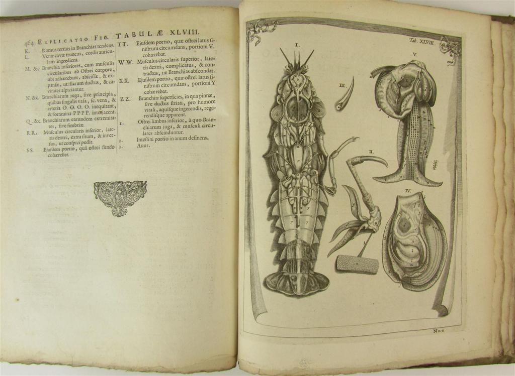 Appraisal: Blaes Gerard Anatome Animalium Amsterdam Joannis Someren First edition to