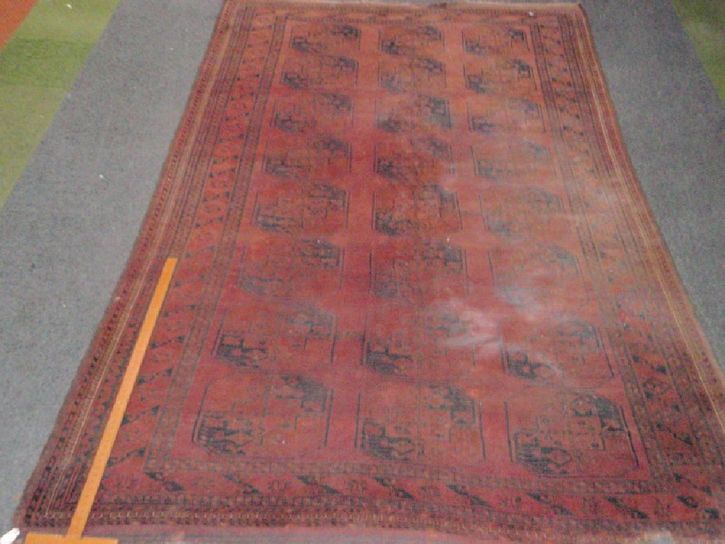 Appraisal: A red ground Bokhara rug cm x cm