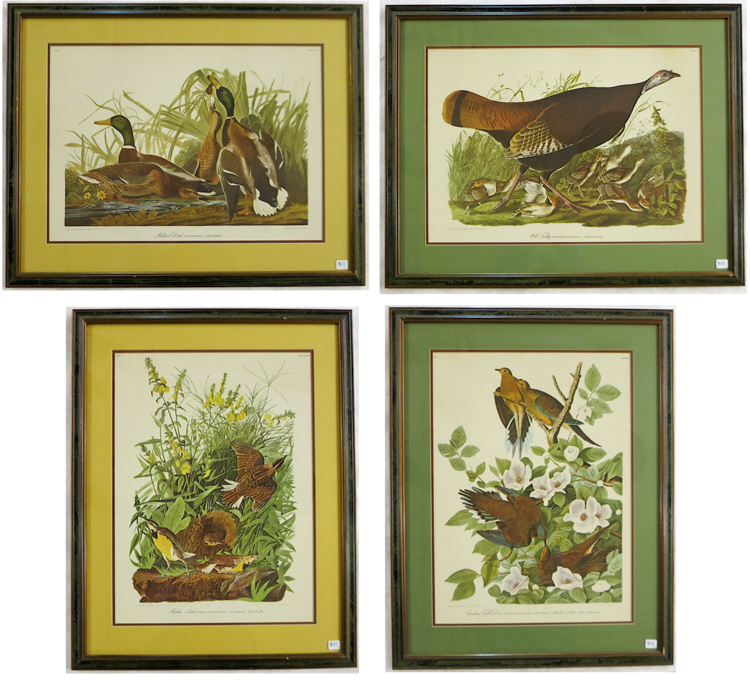 Appraisal: FOUR ORNITHOLOGICAL PRINTS off-set lithographs after Audubon drawings and engravings