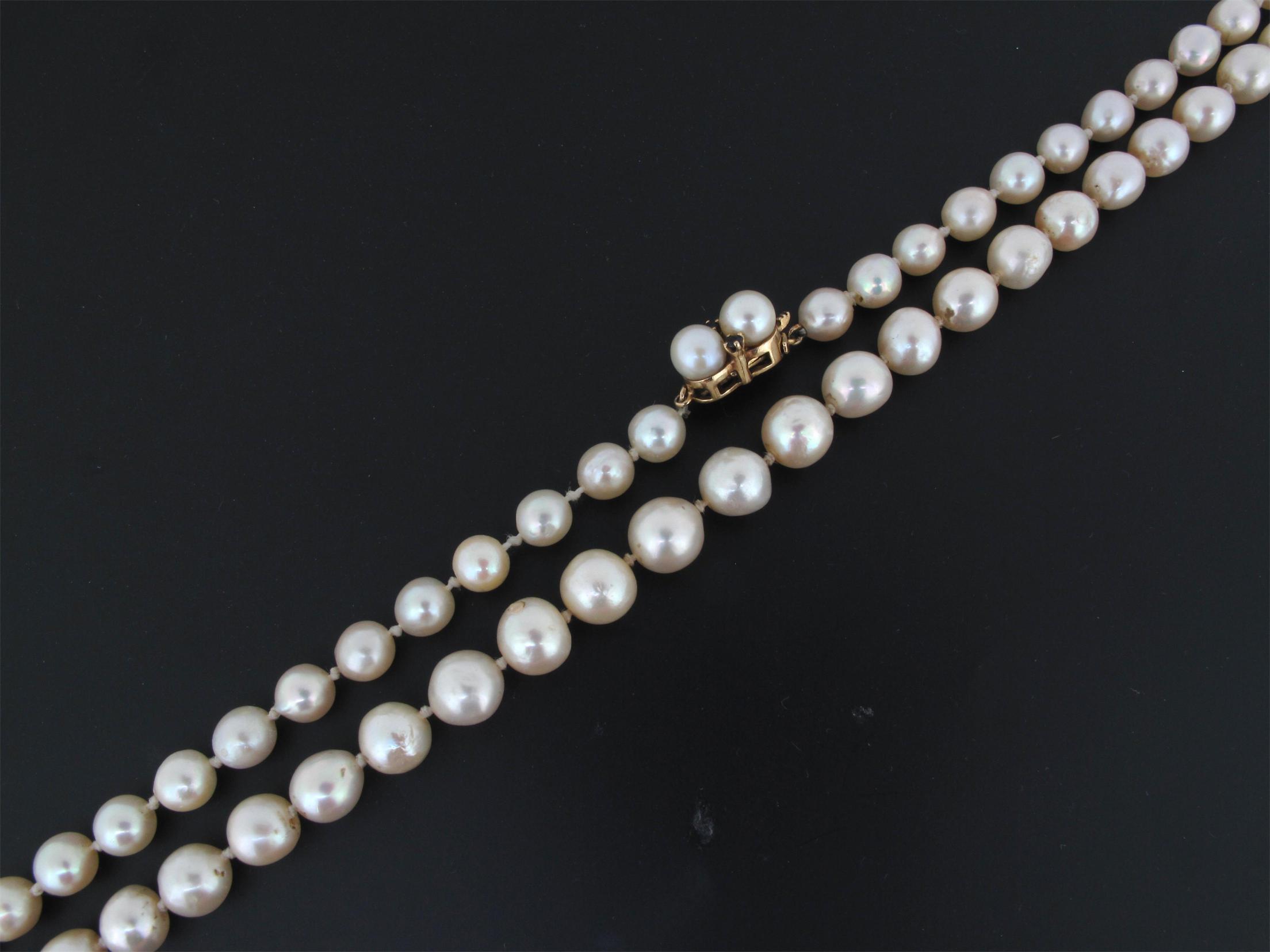 Appraisal: A single row slightly graduated cultured pearl necklace