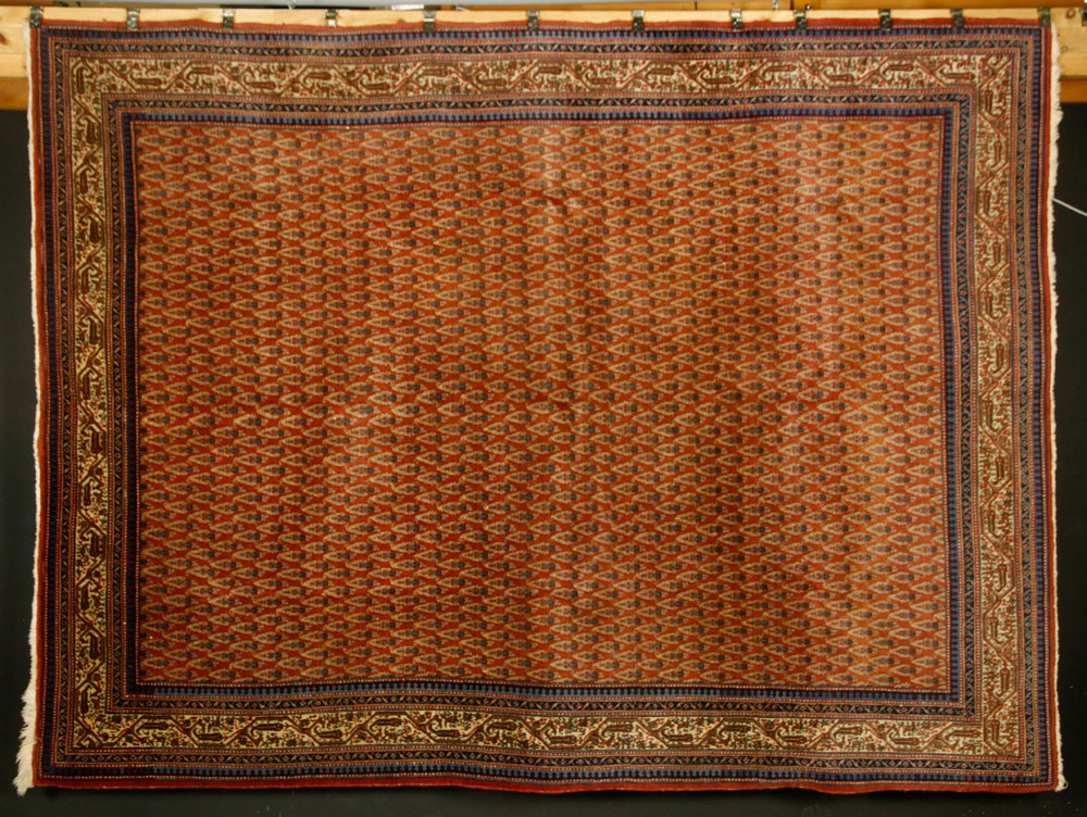 Appraisal: - Oriental Carpet Oriental carpet ' x ' Provenance From