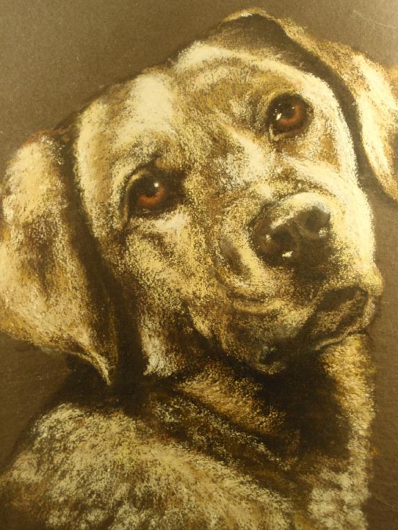 Appraisal: Walter A Elliott Portrait of a Labrador x pastel framed