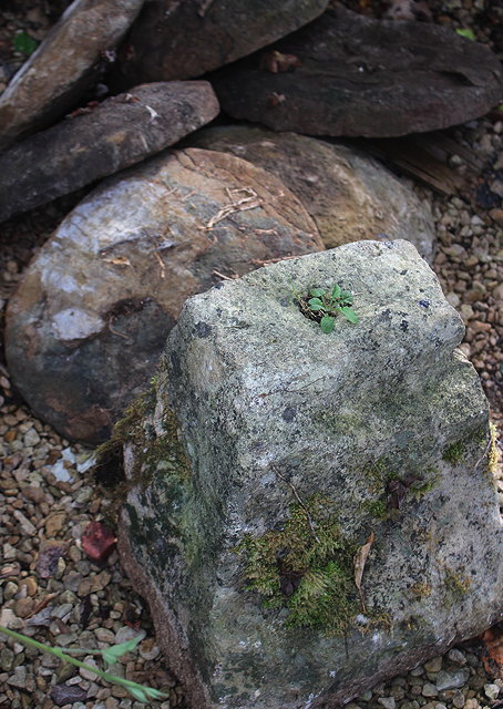 Appraisal: NINE ANTIQUE STADDLE STONE TOPS and two stone bases