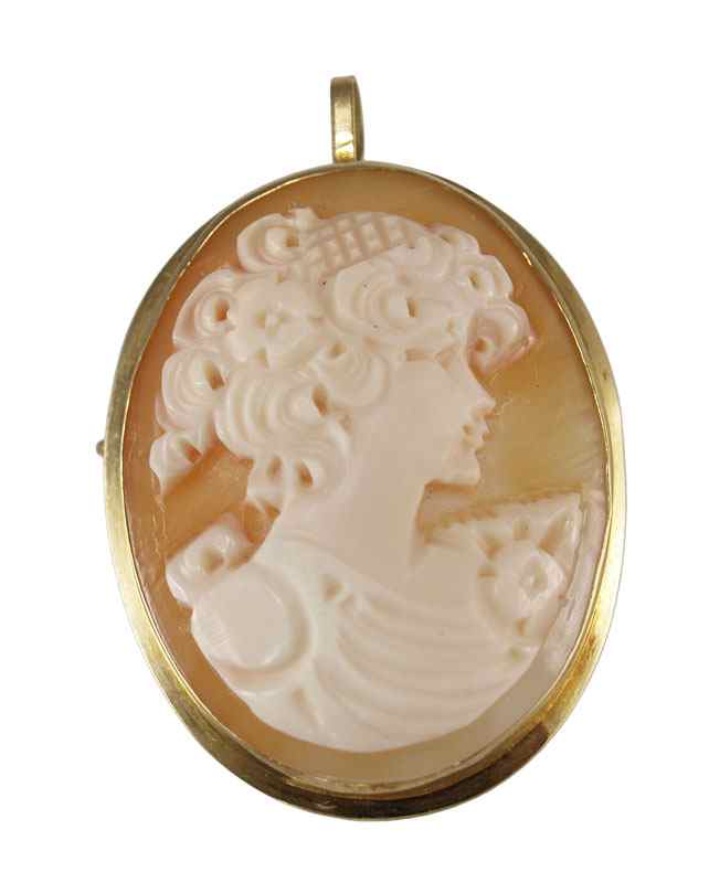 Appraisal: K CAMEO BROOCH K yellow gold frame contains one x