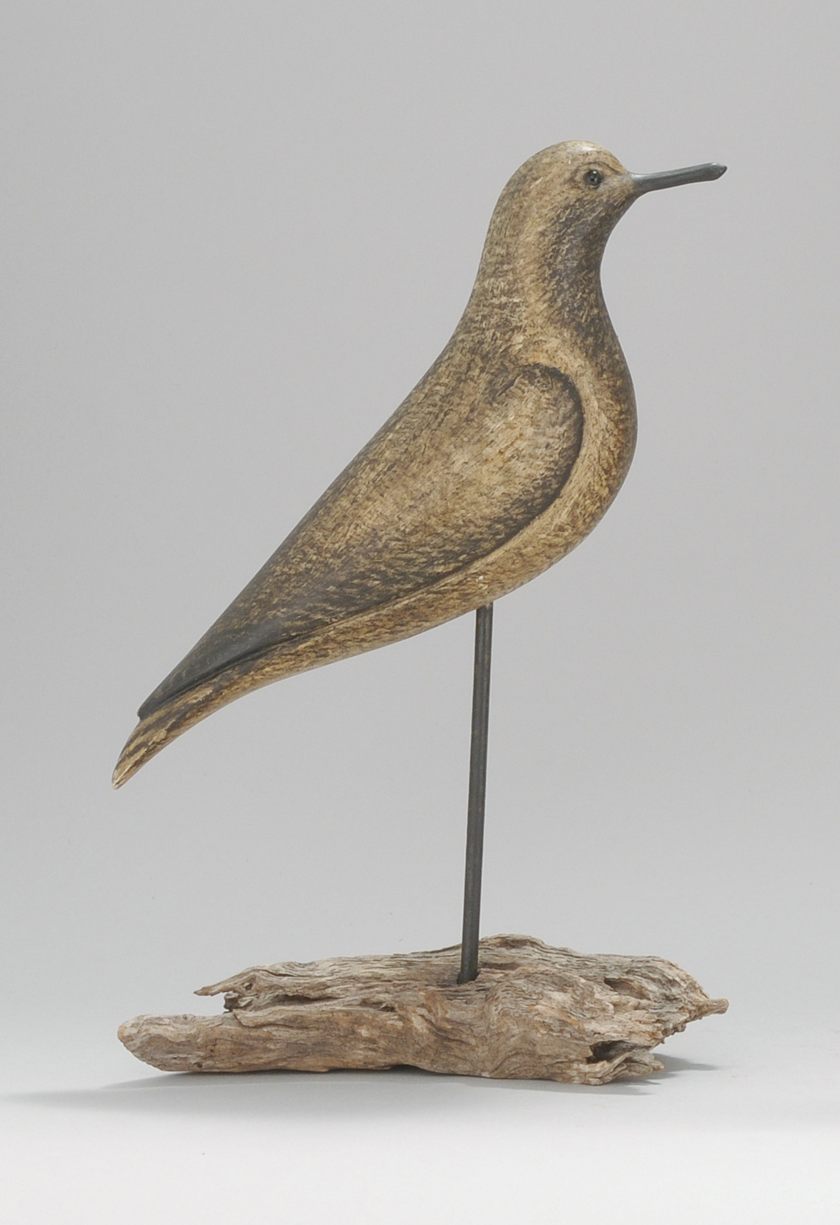 Appraisal: BLACK-BELLIED PLOVER DECOY ContemporaryBy Brian Pichrallo of Florida Glass eyes