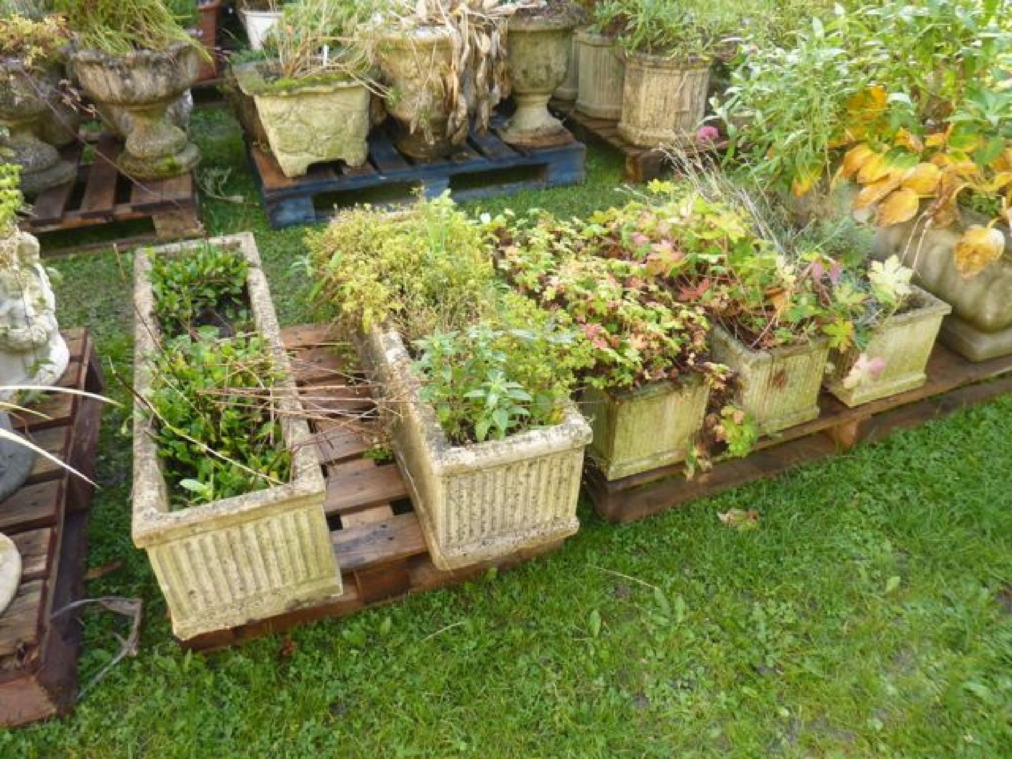 Appraisal: A pair of cast composition stone garden planters of rectangular