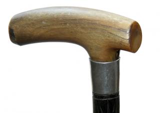 Appraisal: Green Horn Dress Cane- Ca - A substantial horn handle