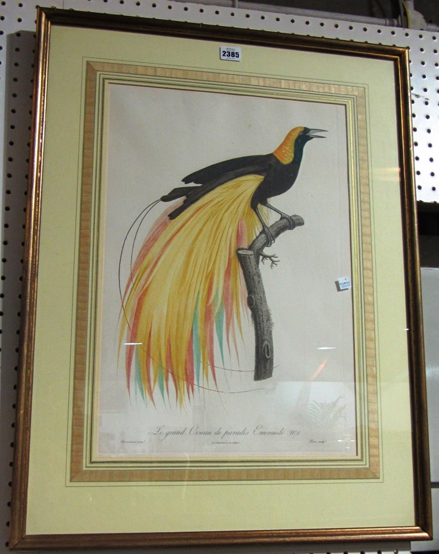 Appraisal: A group of eleven modern reproduction prints of bird subjects