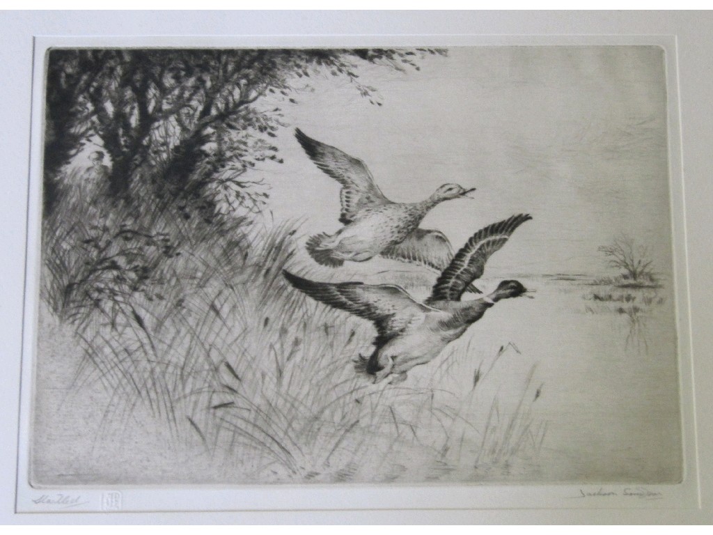 Appraisal: JACKSON SIMPSON Drypoint 'Mallard' signed and entitled and with the