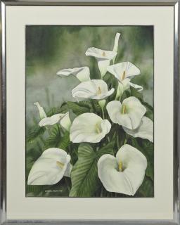 Appraisal: Daryl Trott - Australian Calla Lilies watercolor signed and dated