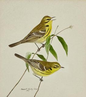 Appraisal: Robert Verity Clem - Warblers signed and dated Robert Verity