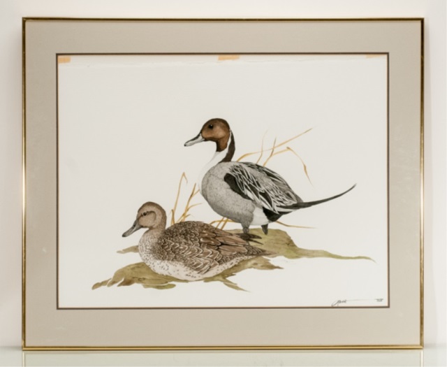 Appraisal: Watercolor of two ducks Sight H x W Frame H