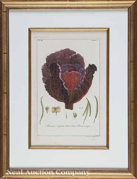 Appraisal: A Group of Eight Botanical Prints after Pierre Bouchoz Paris