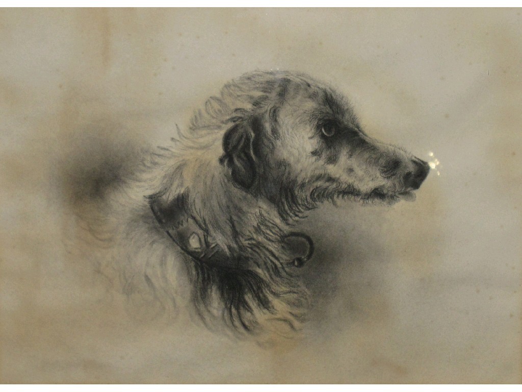 Appraisal: Chalk drawing of a lurcher unsigned