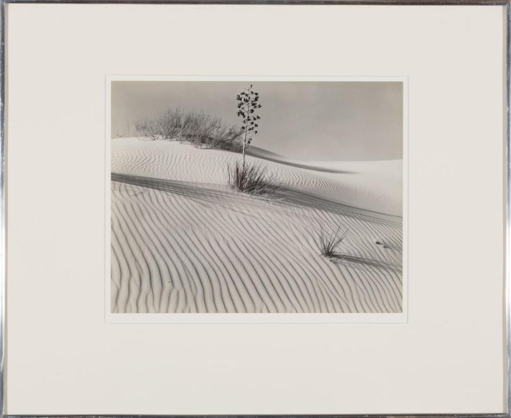 Appraisal: Brett Weston American California - and silver gelatin prints mounted