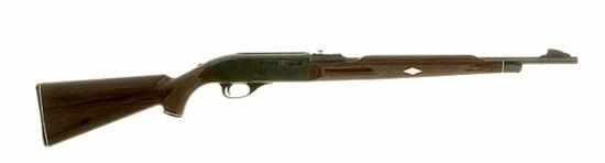 Appraisal: J Stevens boys' rifles and Remington Nylon semi-automatic rifle circa