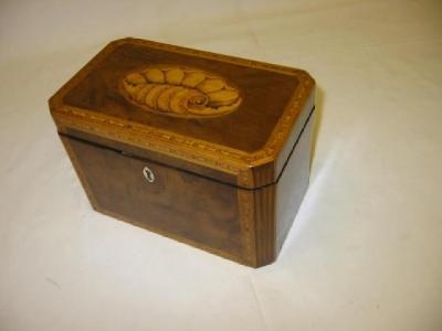 Appraisal: A GEORGE III YEW WOOD TEA CADDY of canted oblong