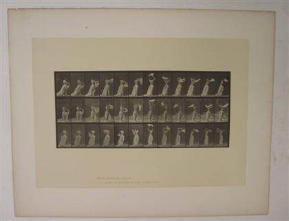 Appraisal: piece Photogravure Muybridge Eadweard Animal Locomotion Plate x inches x