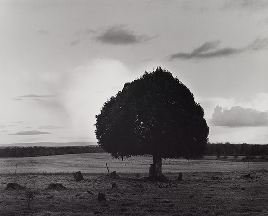 Appraisal: CAPONIGRO PAUL - Clonfert County Galway Ireland Silver print x