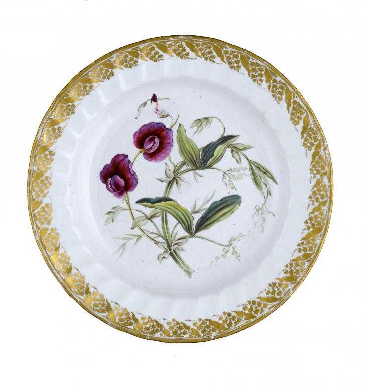 Appraisal: A DERBY BOTANICAL PLATE painted with a specimen of the