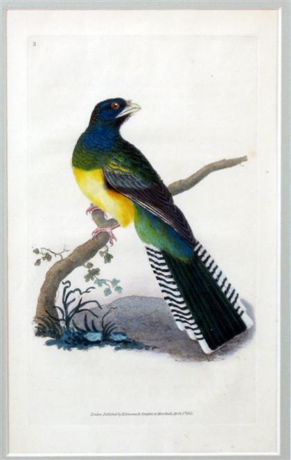 Appraisal: Four hand-colored engravings of birdsedward donovan london