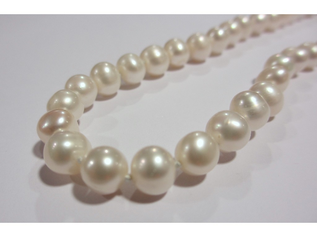 Appraisal: White Akoya pearl necklace Approximately inches