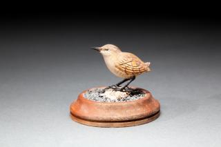 Appraisal: Wren by Roger C Mitchell b WrenRoger C Mitchell b