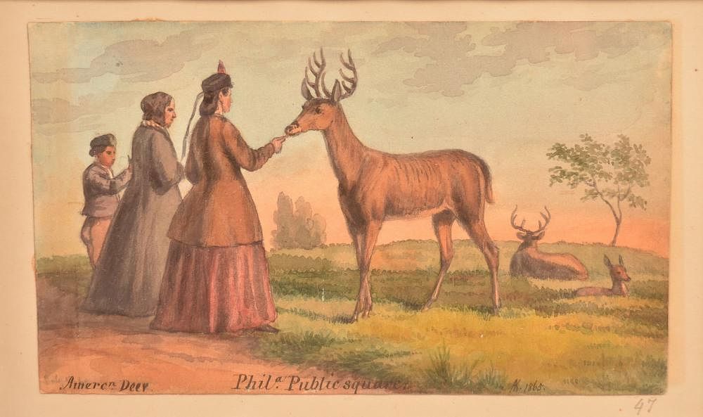 Appraisal: Augustus Kollner Watercolor American Deer Augustus Kollner Watercolor Painting American