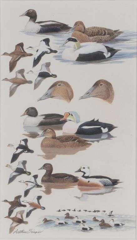 Appraisal: Eider signed Arthur Singer lower left watercolor and gouache by