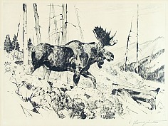 Appraisal: Carl Rungius The Traveleretching and drypoint x plate in