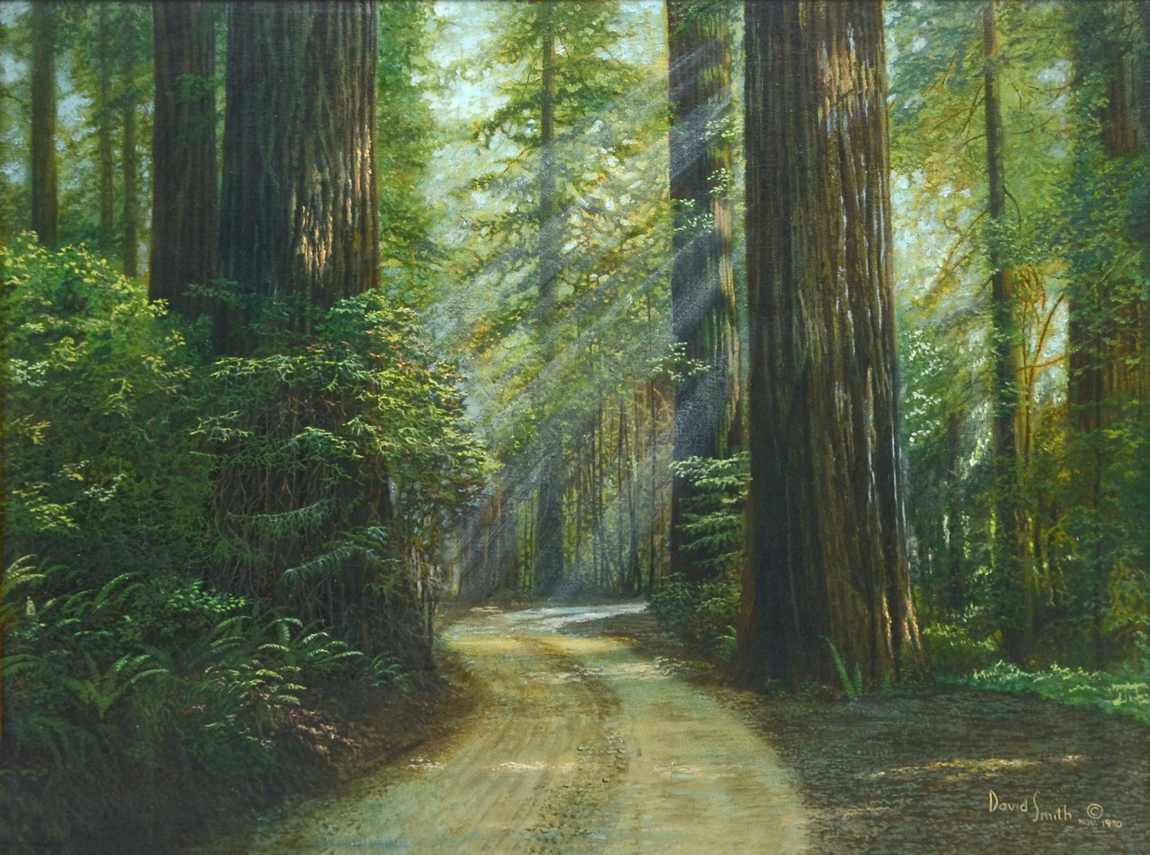 Appraisal: DAVID SMITH REDWOOD FOREST LANDSCAPE PAINTING Oil Canvas '' x