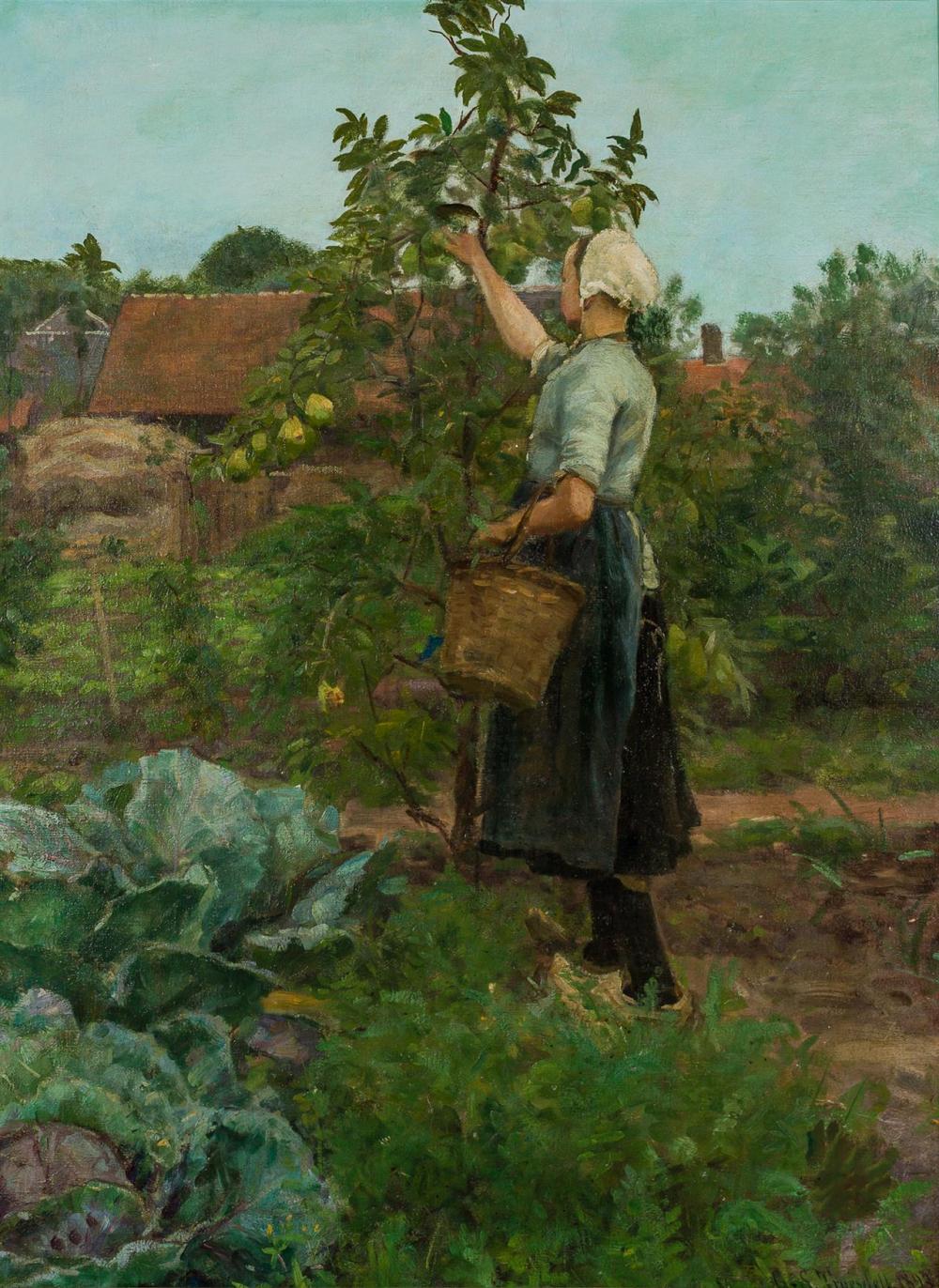 Appraisal: GAYLORD SANGSTON TRUESDELL American - Picking Pears oil on canvas