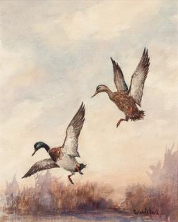 Appraisal: Roland H Clark - Two Mallardssigned Roland Clark lower rightwatercolor