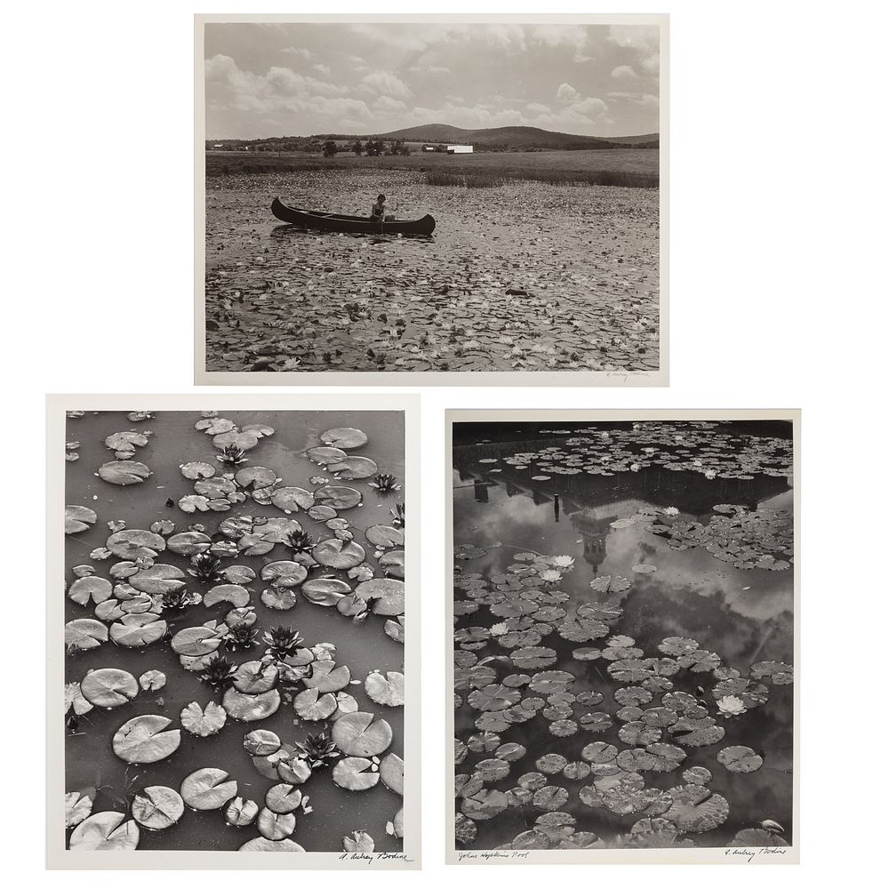 Appraisal: A Aubrey Bodine Three Waterlillies Photos American - Gelatin silver