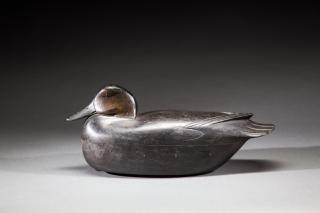 Appraisal: Black Duck by Thomas J Fitzpatrick Black DuckThomas J Fitzpatrick