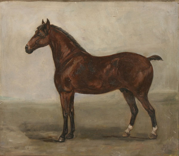 Appraisal: Nineteenth century animal portrait oil on canvas depicting a bobtail