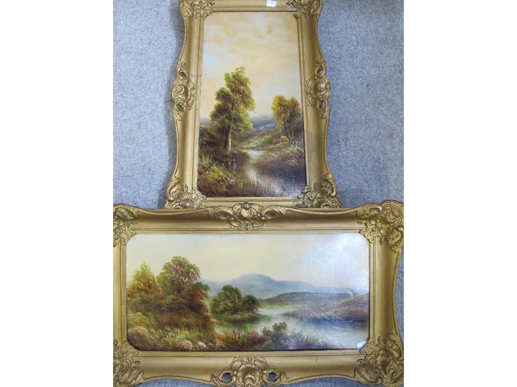 Appraisal: Two oil on board landscapes both signed