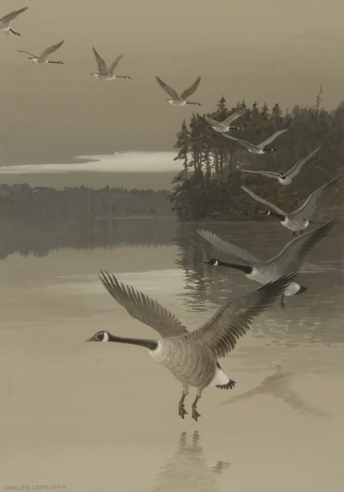 Appraisal: CHARLES GEORGE COPELANDAmerican - Geese in flight Signed lower left