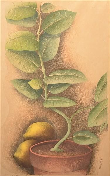 Appraisal: Luigi Rist Ida's Lemon Tree Woodcut on Paper Luigi Rist