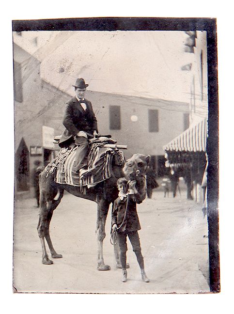 Appraisal: CAMEL TINTYPE PLATE IN FINE CONDITION WITH A GENTLEMAN RIDING