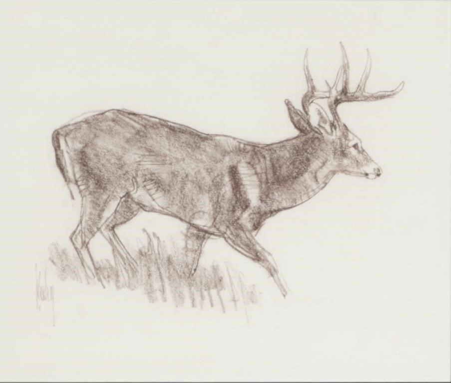 Appraisal: Big Buck signed Kuhn lower left conte crayon on paper