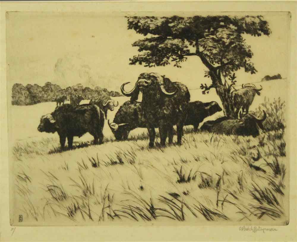 Appraisal: MAJOR A RADCLIFFE DUGMORE AFRICAN BUFFALO - CAPE BUFFALO Etching