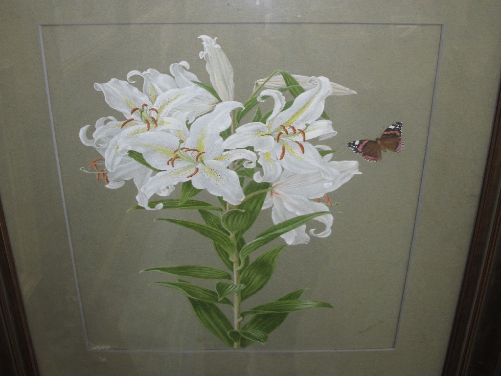 Appraisal: HERBERT MAXWELL Still life signed watercolour Provenance The Property of